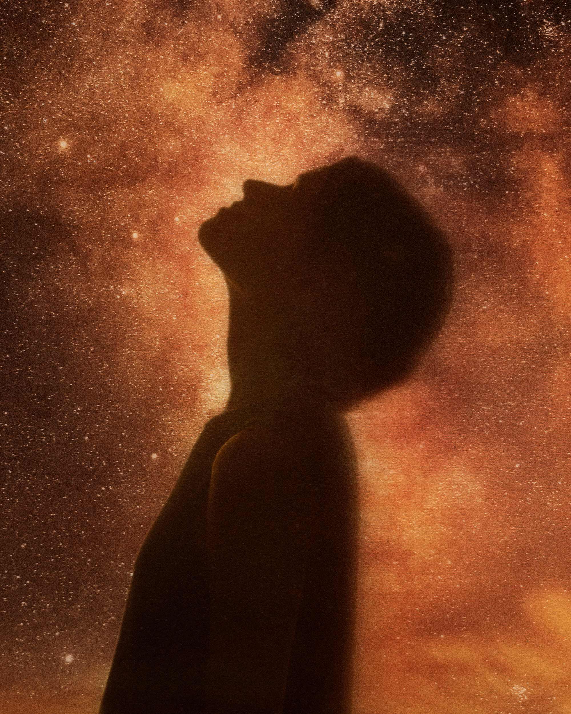 Aesop banner 1